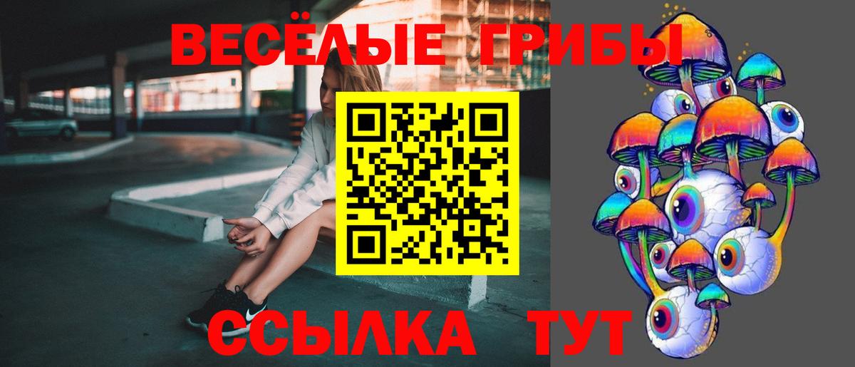 Галлюциногенные грибы GOLDEN TEACHER  Вход с VPN  сколько стоит  Кувандык 